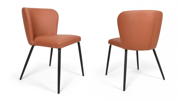 lupo-scaun